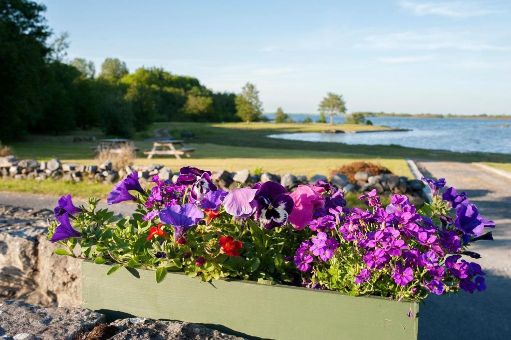 The Waterfront House Country Home Oughterard Buitenkant foto